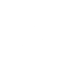 Bubble Fest Live Printed T-Shirt